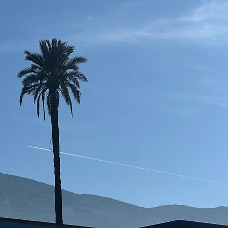 Rocasol Denia - Marina Real II Daire Dış mekan fotoğraf