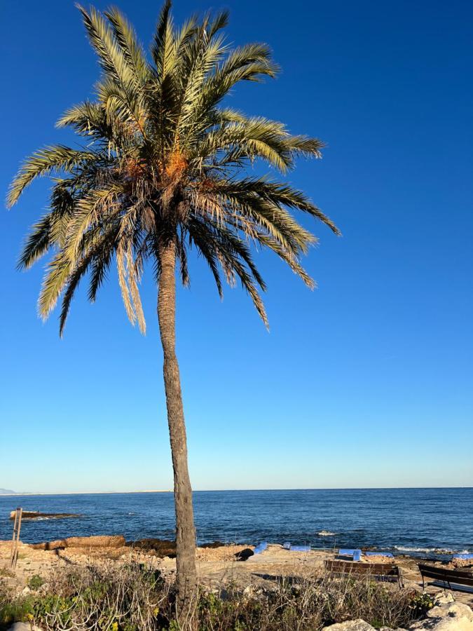 Rocasol Denia - Marina Real II Daire Dış mekan fotoğraf