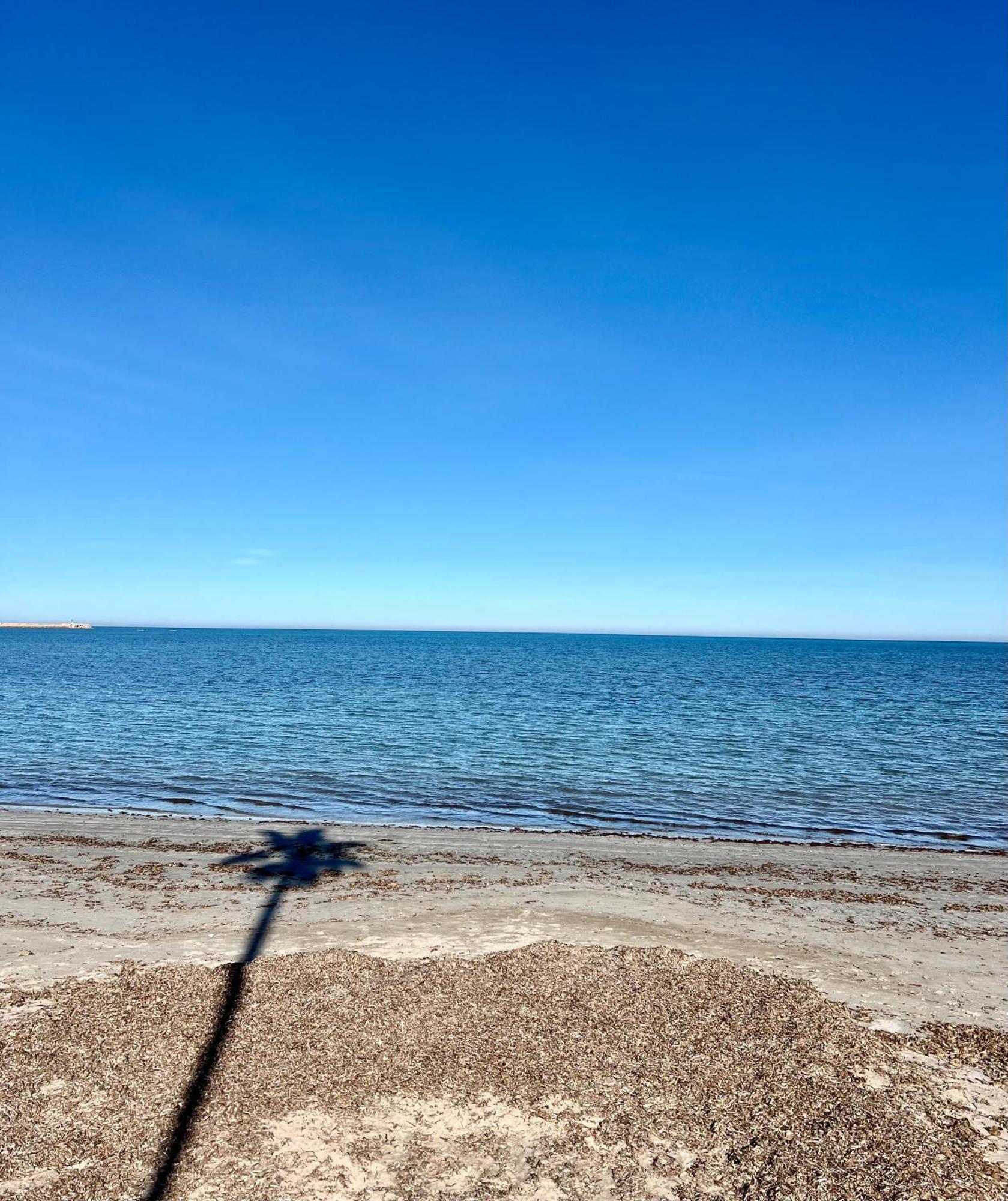 Rocasol Denia - Marina Real II Daire Dış mekan fotoğraf