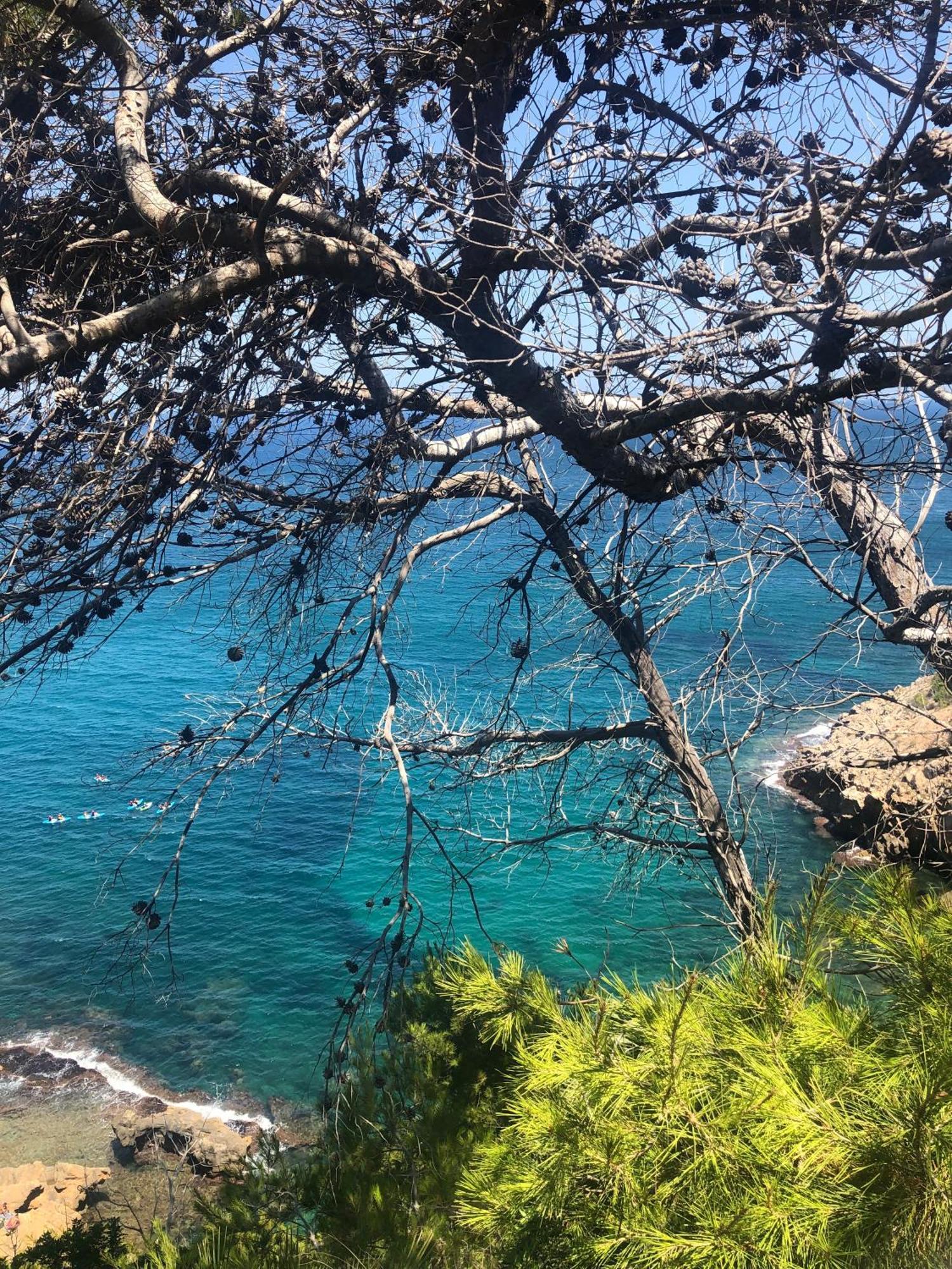 Rocasol Denia - Marina Real II Daire Dış mekan fotoğraf