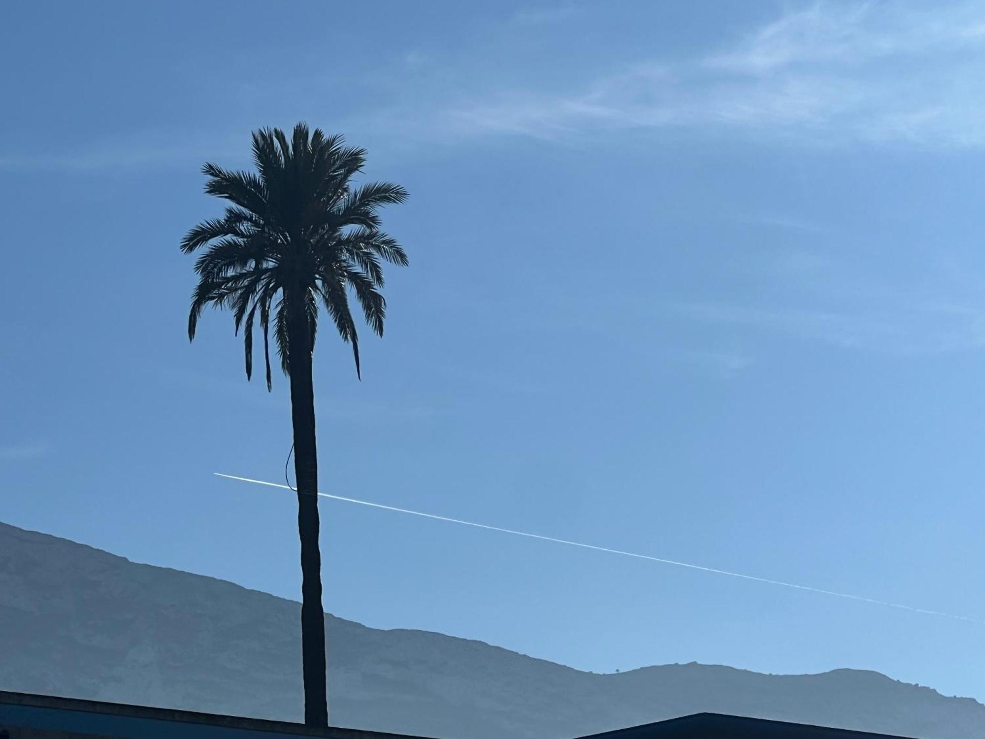 Rocasol Denia - Marina Real II Daire Dış mekan fotoğraf